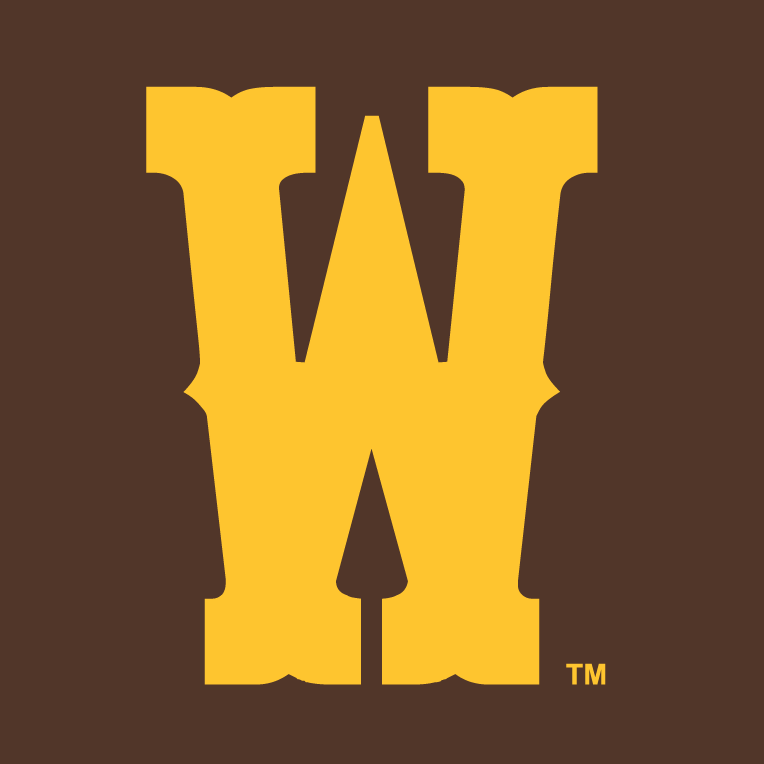 Wyoming Cowboys 2013-Pres Secondary Logo v2 diy DTF decal sticker